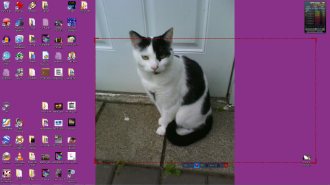 desktop1.png