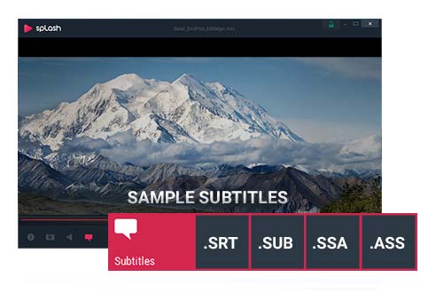 Support for all major subtitles formats and easy navigation